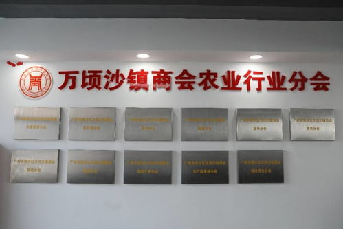 成团发展再提速 广州南沙万顷沙11个农业行业分会揭牌成立