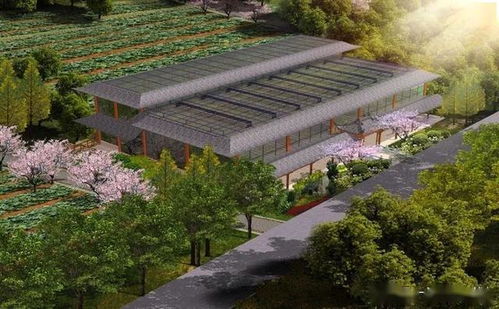 植物工厂与康养农业的融合发展路径