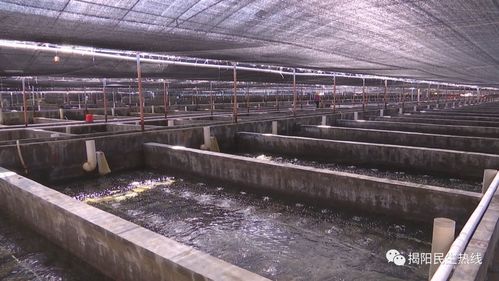 创新农险产品 为主业发展托底