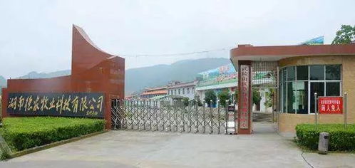 湘西这两家企业获评湖南省绿色工厂,花垣有一家