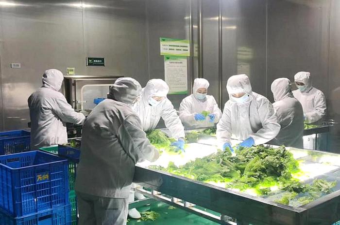 预制菜首次写入中央一号文件 浙江企业加码布局&ldquo;新赛道&rdquo;