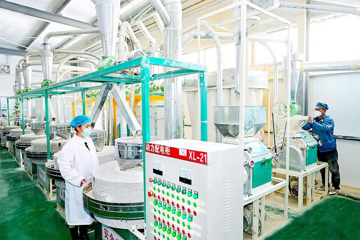 长子县兴农农业 车间忙碌备春耕，产业兴旺正当时