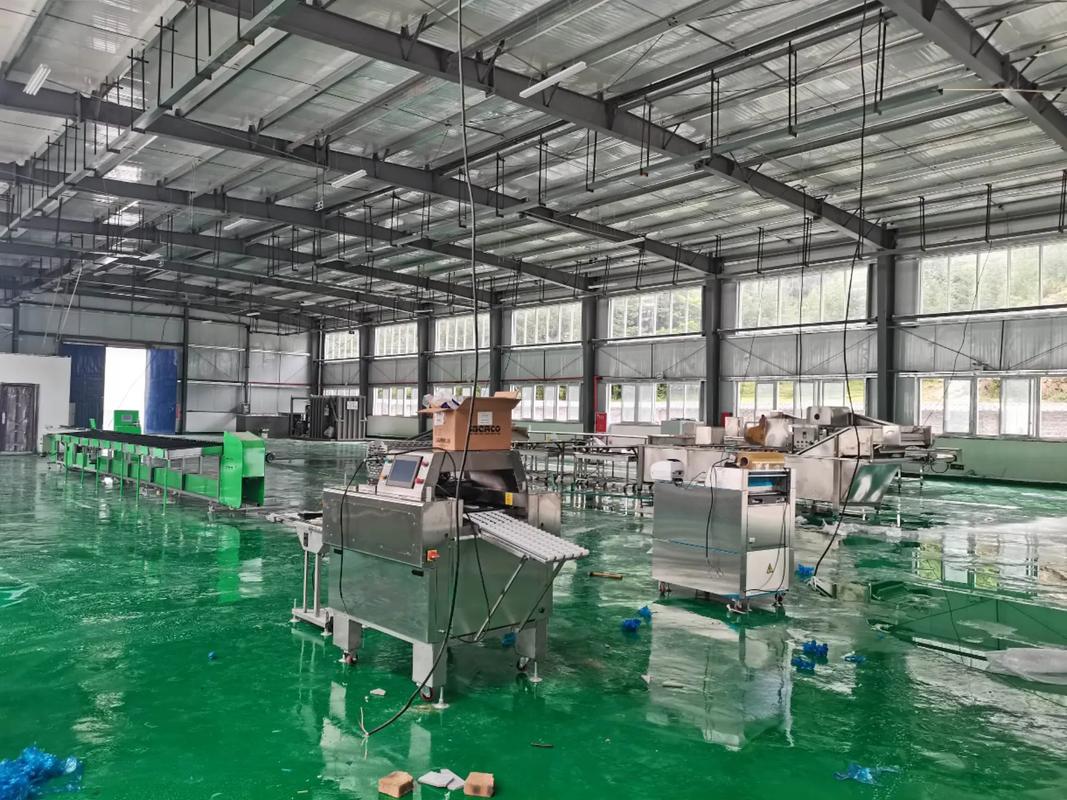 农业开发的新引擎 农产品自动化生产线机械设备的定制之道